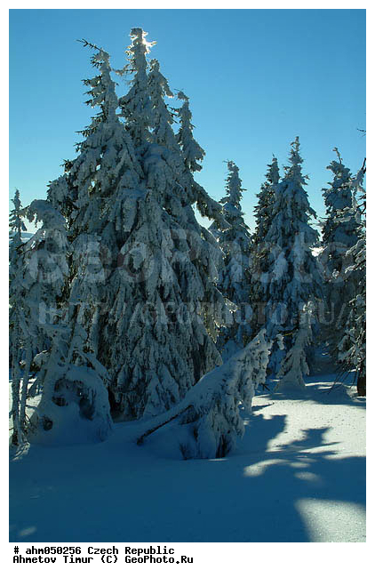 ����, ��������, �����, �����, ������� ����������, �������, ������ ����, ����, ������� � �����, ���, �����������, ����, ������, ������ ���, ������ �����, ������ ������, ��������, ���, �����, �������, ����, ������� �����, ��������, �������