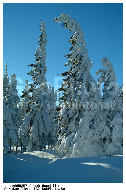 ����, ��������, �����, �����, ������� ����������, �������, ������ ����, ����, ������� � �����, ���, �����������, ����, ������, ������ ���, ������ �����, ������ ������, ��������, ���, �����, �������, ����, ������� �����, ��������, �������