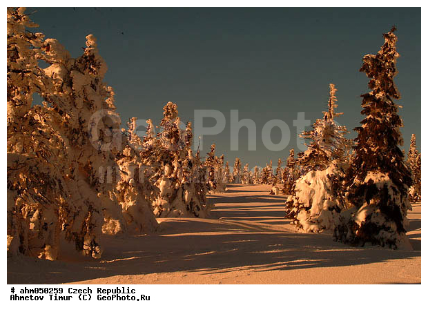 ������ ���, �����, ��������, ����, �����, �����, ������� ����������, ������ ����, ����, �������� ����, ��������, �����������, ����, ������ �����, ���, ���� ������, �����, ���������, �������, �������, ����, ��������