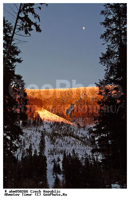 ������ ���, �����, ��������, ����, �����, �����, ������� ����������, ������ ����, ����, �������� ����, ��������, �����������, ����, ������ �����, ���, ���� ������, �����, ���������, �������, �������, ����, ��������