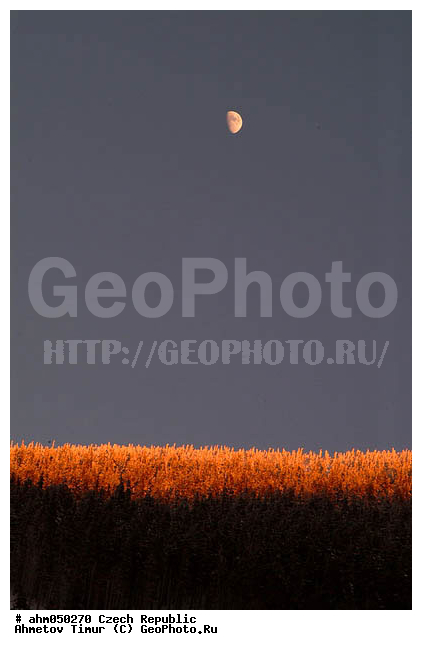 ������ ���, �����, ��������, ����, �����, �����, ������� ����������, ������ ����, ����, �������� ����, ��������, �����������, ����, ������ �����, ���, ���� ������, �����, ���������, �������, �������, ����, ��������