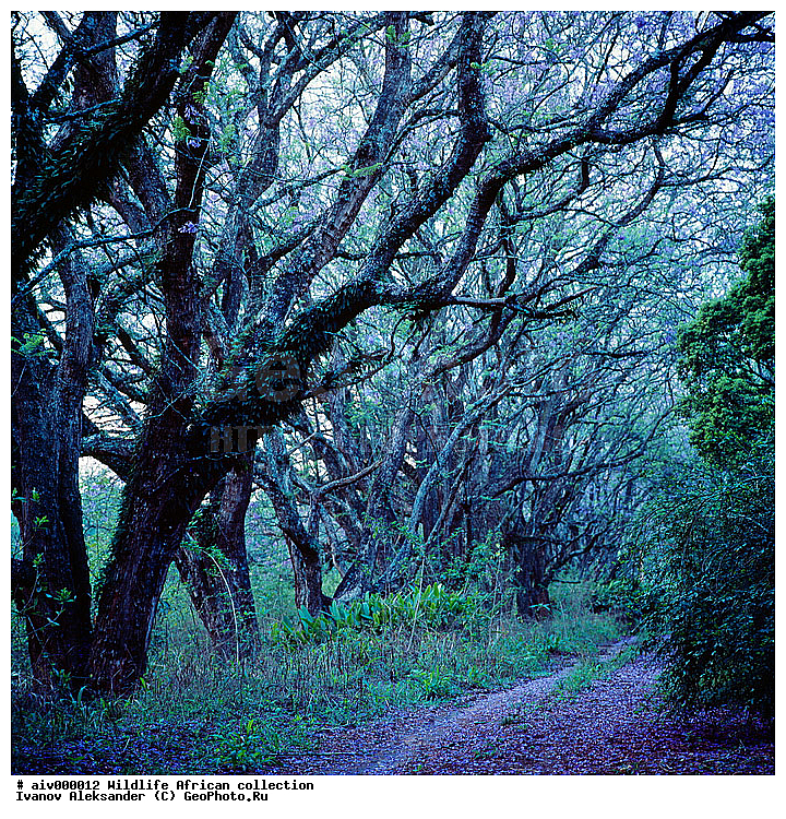 ������, ����������� ��������, �����������, ����������� ������, �������� � �������, ������ � ��������, ������� ������, �������, �����, ����, �������, �������, ��������������, �����