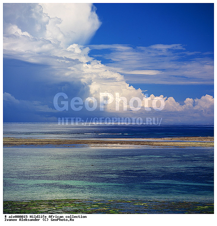 ������, ����������� ��������, �����������, ����������� ������, ��������, ������, ������� ������, �������, �����, ����, �������, �������, ��������������, �����