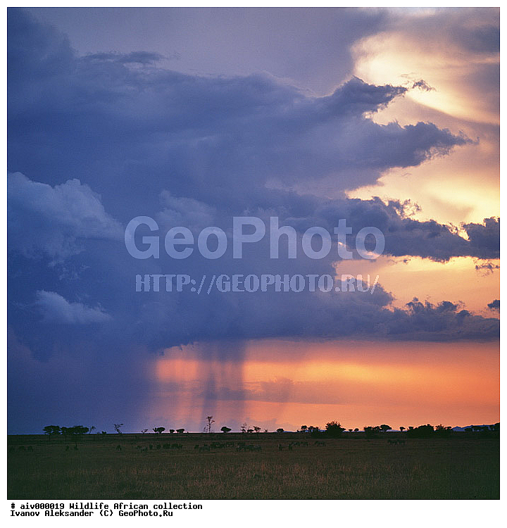 ������, ����������� ��������, �����������, ����������� ������, �������� � �������, ������ � ��������, ������� ������, �������, �����, ����, �������, �������, ��������������, �����