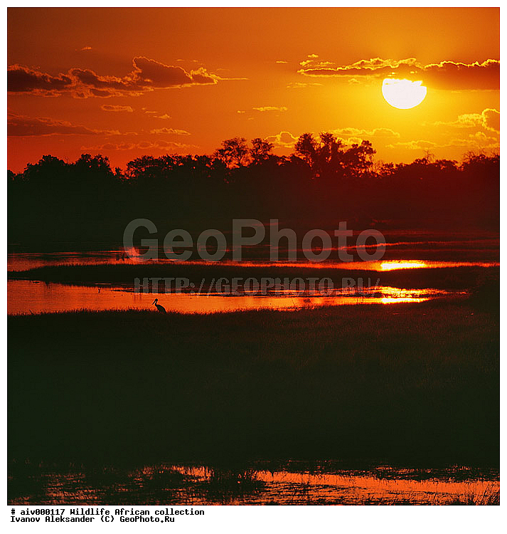 ������, ����������� ��������, �����������, ����������� ������, �������� � �������, ������ � ��������, ������� ������, �������, �����, ����, �������, �������, ��������������, �����