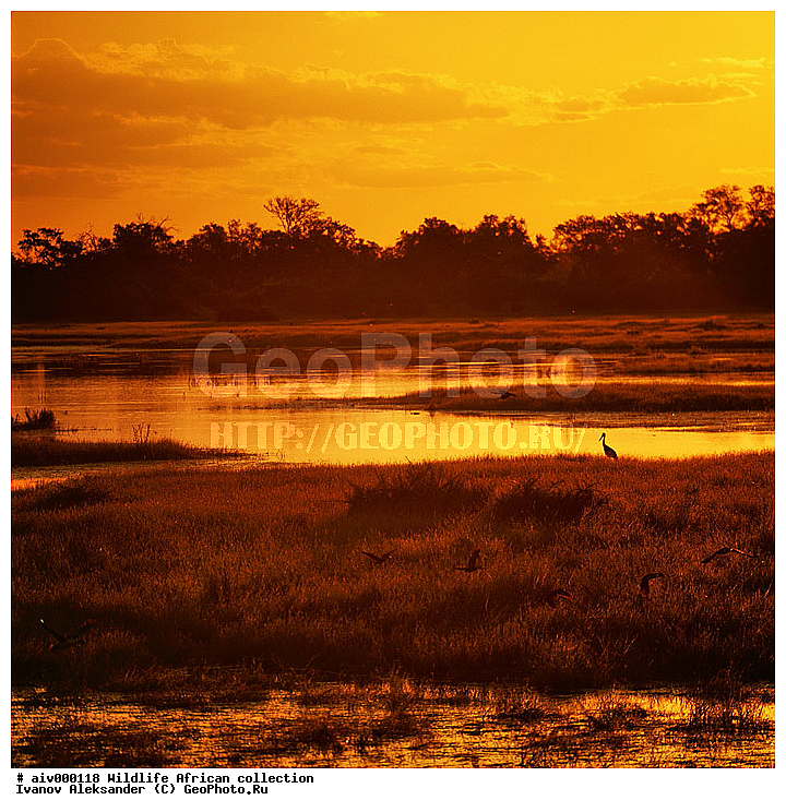 ������, ����������� ��������, �����������, ����������� ������, �������� � �������, ������ � ��������, ������� ������, �������, �����, ����, �������, �������, ��������������, �����