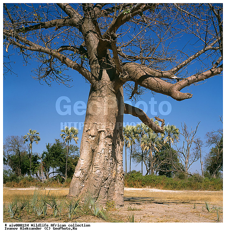 ������, ����������� ��������, �����������, ����������� ������, �������� � �������, ������ � ��������, ������� ������, �������, �����, ����, �������, �������, ��������������, �����