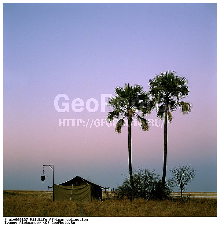 ������, ����������� ��������, �����������, ����������� ������, �������� � �������, ������ � ��������, ������� ������, �������, �����, ����, �������, �������, ��������������, �����