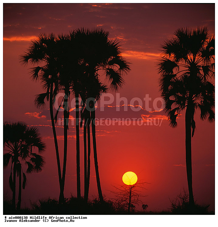 ������, ����������� ��������, �����������, ����������� ������, �������� � �������, ������ � ��������, ������� ������, �������, �����, ����, �������, �������, ��������������, �����