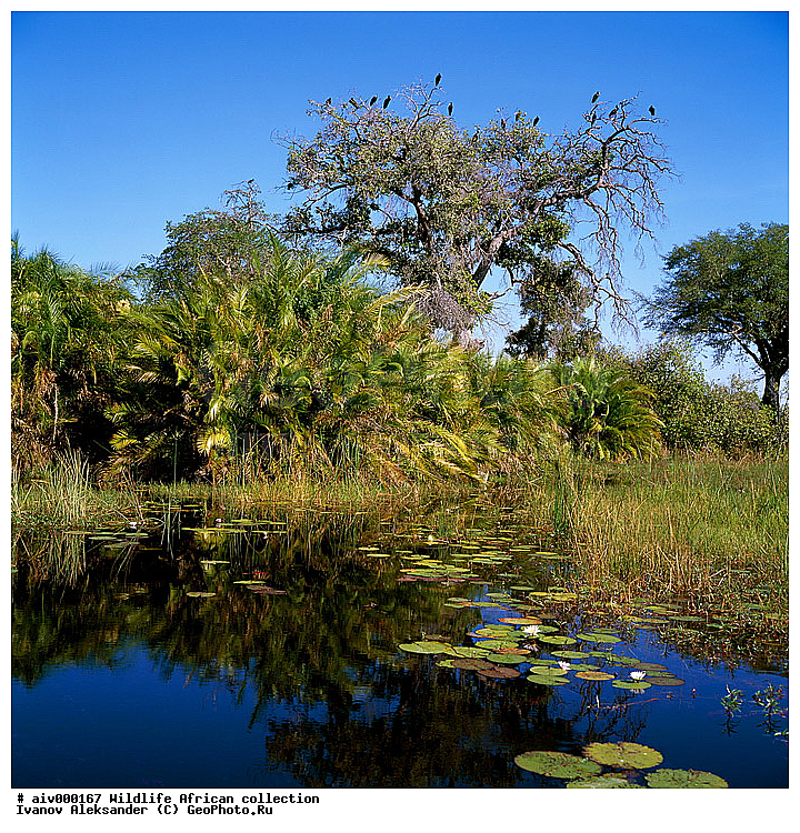 ������, ����������� ��������, �����������, ����������� ������, �������� � �������, ������ � ��������, ������� ������, �������, �����, ����, �������, �������, ��������������, �����