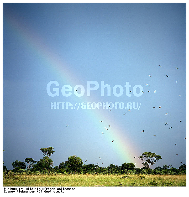 ������, ����������� ��������, �����������, ����������� ������, �������� � �������, ������ � ��������, ������� ������, �������, �����, ����, �������, �������, ��������������, �����