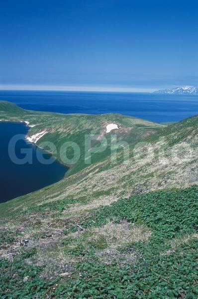 ������� ������, ������, �������