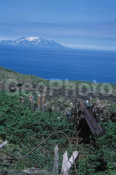 ������� ������, ������, �������