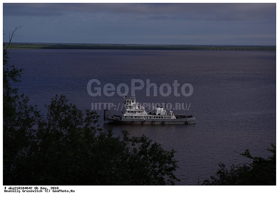  ������ ����, 2010, ���, ������ �������, �����, �����, ��������