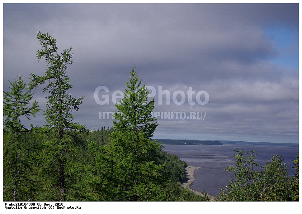  ������ ����, 2010, ���, ������ �������, �����, �����, ��������