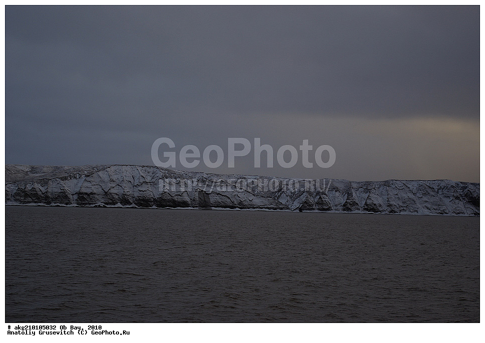  ������ ����, 2010, ���, ������ �������, �����, �����, ��������