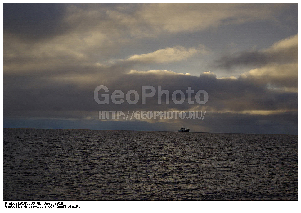  ������ ����, 2010, ���, ������ �������, �����, �����, ��������