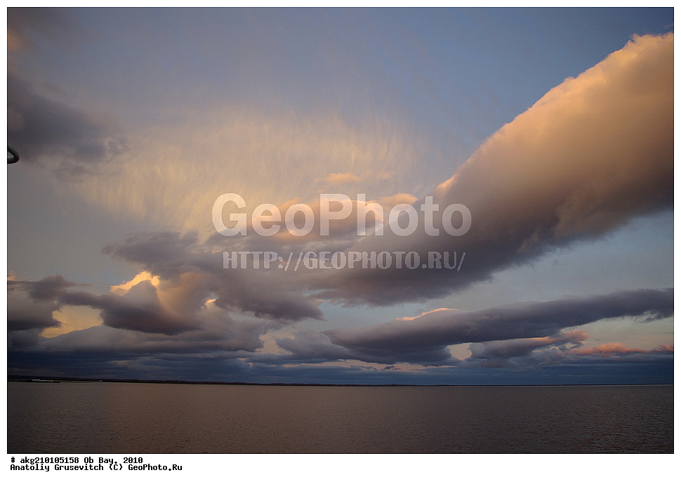  ������ ����, 2010, ���, ������ �������, �����, �����, ��������