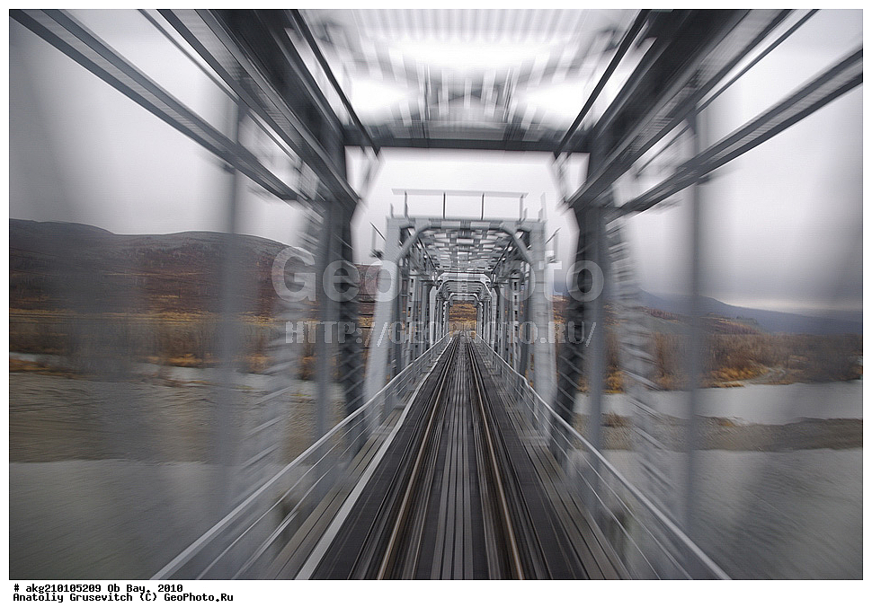  ������ ����, 2010, ���, ������ �������, �����, �����, ��������, �������� ������, ��������������, �������� ����, �����, ������, ������ ������,  ����������, ���������, �������� ����, ������� ������