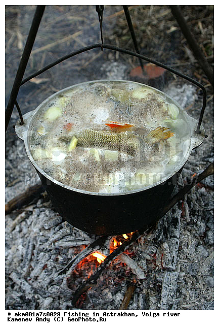 ������������, ���������, ������, �����, ������, �������, �����, ��������, ������, �����, ����, ��������