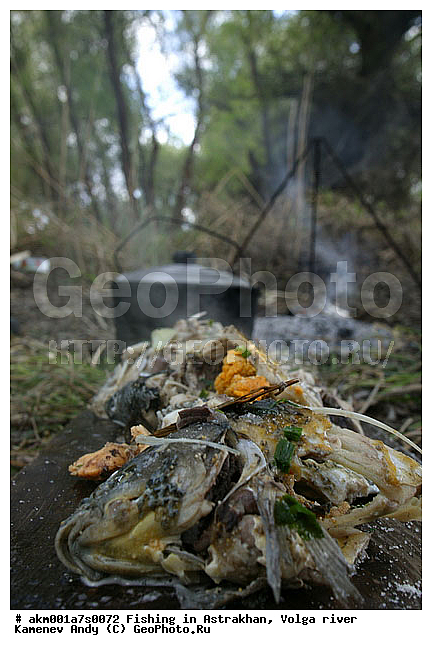 ������������, ���������, ������, �����, ������, �������, �����, ��������, ������, �����, ����, ��������