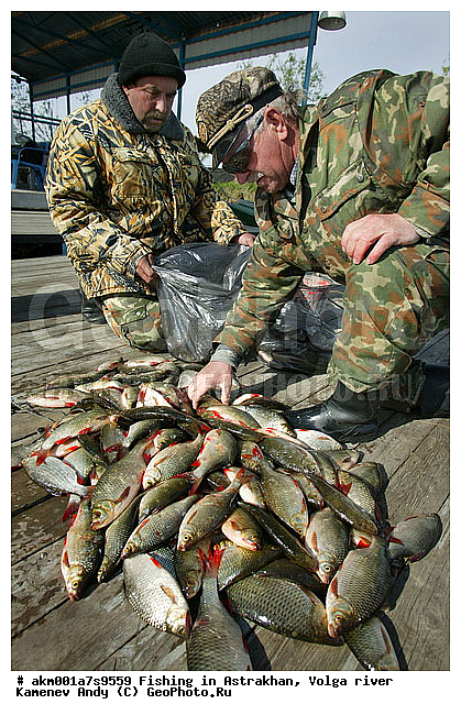 ������������, ���������, ������, �����, ������, �������, �����, ��������, ������, �����, ����, ��������