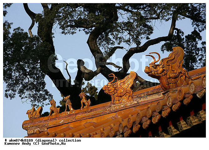 ����, ����-�������, ���������, �������, ���������� ����, �����������, ��������, �����, ���������, ���������, ���������, ������������, ������������ �������, �������, ��������, ����