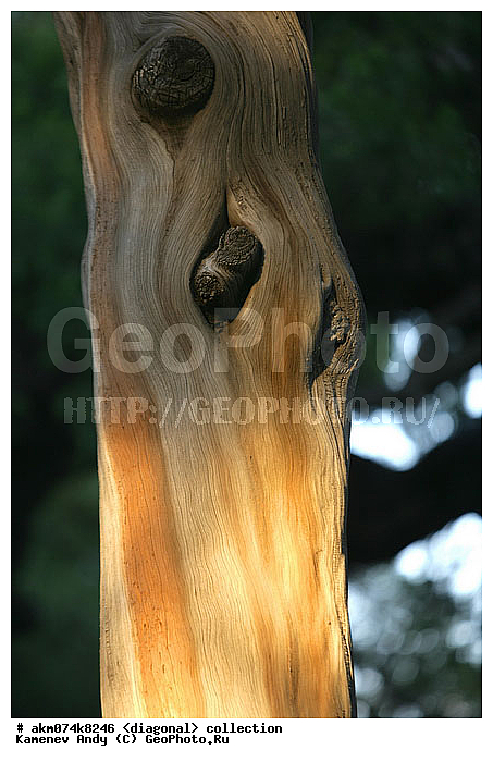 ����, ����-�������, ���������, �������, ���������� ����, �����������, ��������, �����, ���������, ���������, ���������, ������������, ������������ �������, �������, ��������, ����