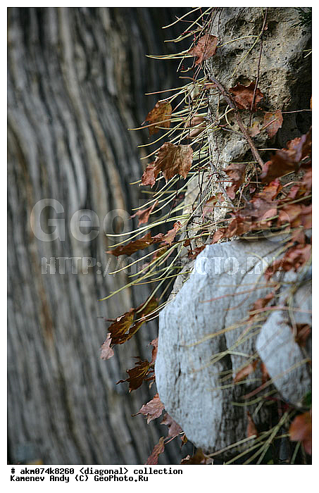 ����, ����-�������, ���������, �������, ���������� ����, �����������, ��������, �����, ���������, ���������, ���������, ������������, ������������ �������, �������, ��������, ����