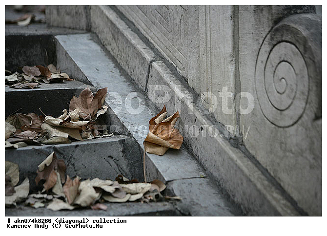 ����, ����-�������, ���������, �������, ���������� ����, �����������, ��������, �����, ���������, ���������, ���������, ������������, ������������ �������, �������, ��������, ����