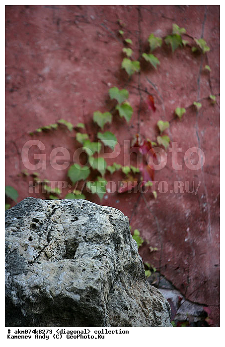 ����, ����-�������, ���������, �������, ���������� ����, �����������, ��������, �����, ���������, ���������, ���������, ������������, ������������ �������, �������, ��������, ����