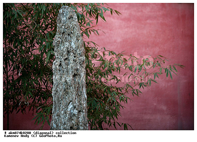 ����, ����-�������, ���������, �������, ���������� ����, �����������, ��������, �����, ���������, ���������, ���������, ������������, ������������ �������, �������, ��������, ����