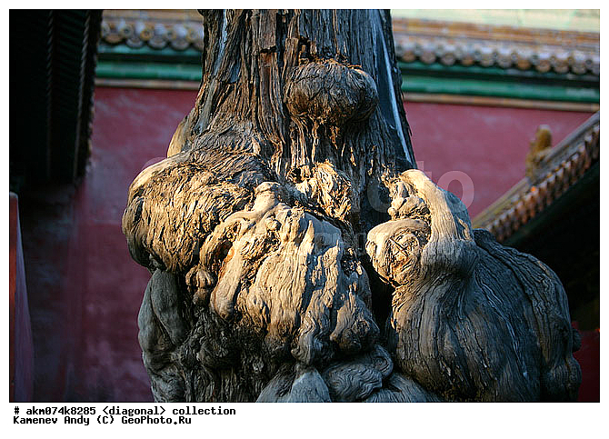 ����, ����-�������, ���������, �������, ���������� ����, �����������, ��������, �����, ���������, ���������, ���������, ������������, ������������ �������, �������, ��������, ����