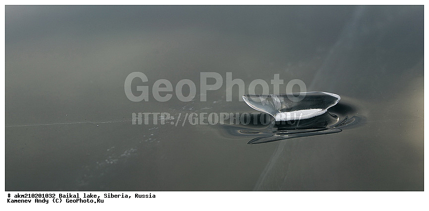 ������, ���, ��������, ����������