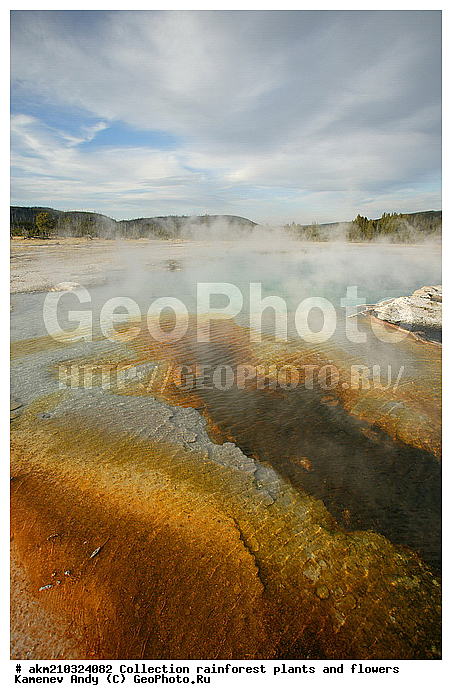 ������, �������, ��������, �����������, ��������������� ������������ ����, �������, ���, �������� �������, ���������, ������, ������������� ��������, ��������, ��������, �������, ����