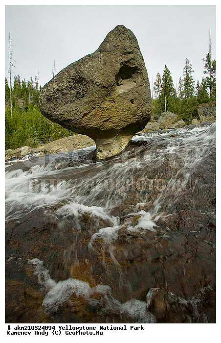 ������, �������, ��������, �����������, ��������������� ������������ ����, �������, ���, �������� �������, ���������, ������, �������, ����