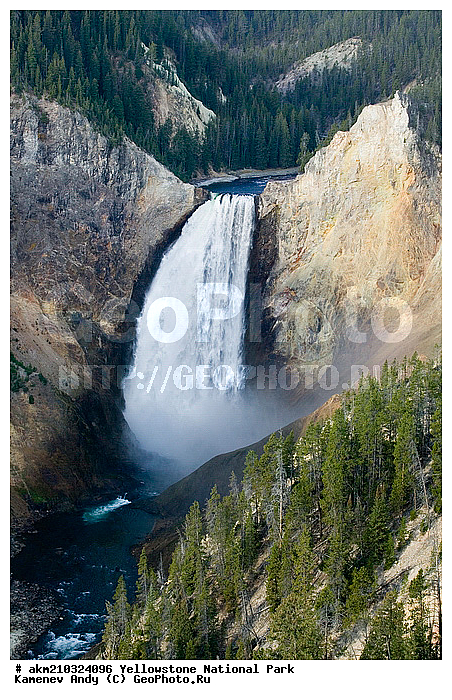 ������, �������, ��������, �����������, ��������������� ������������ ����, �������, ���, �������� �������, ���������, ������, �������, ����