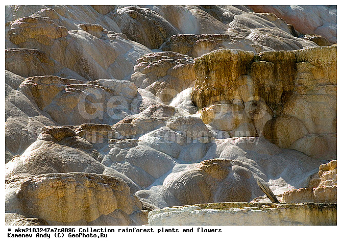 ������, �������, ��������, �����������, ��������������� ������������ ����, �������, ���, �������� �������, ���������, ������, ������������� ��������, ��������, ��������, �������, ����