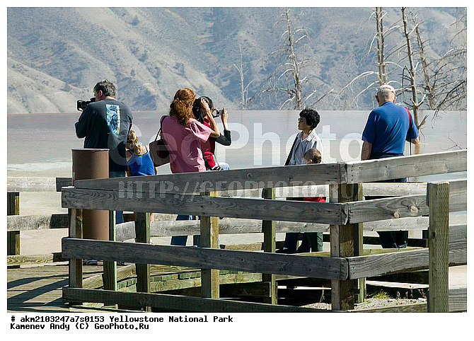 ������, �������, ��������, �����������, ��������������� ������������ ����, �������, ���, �������� �������, ���������, ������, ��������, ��������, �������, ����, �������������, ������, �������