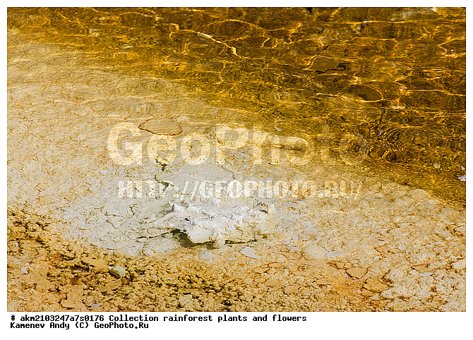 ������, �������, ��������, �����������, ��������������� ������������ ����, �������, ���, �������� �������, ���������, ������, ������������� ��������, ��������, ��������, �������, ����