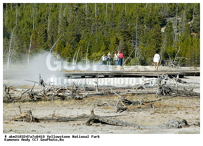 ������, �������, ��������, �����������, ��������������� ������������ ����, �������, ���, �������� �������, ���������, ������, ��������, ��������, �������, ����, �������������, ������, �������