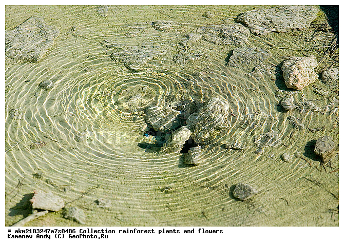 ������, �������, ��������, �����������, ��������������� ������������ ����, �������, ���, �������� �������, ���������, ������, ������������� ��������, ��������, ��������, �������, ����