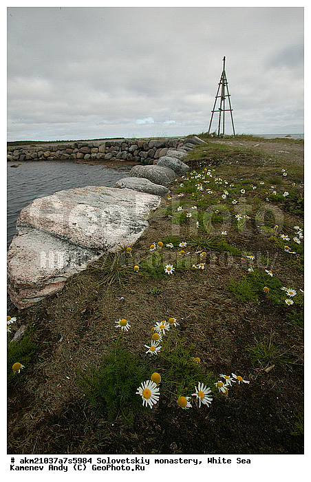 ������� ����������, ��������, ���, ����������, ���������� ���������, �������, ������, �������, ���������, ������, �����, ������, ������, ������������