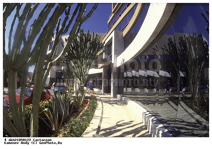 ��������� �������, ������, ��������