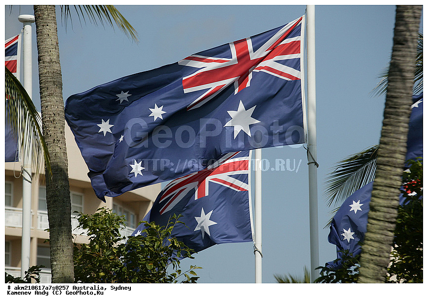 ���������, ���� �����������, ������, ����� �����, �����������, ������