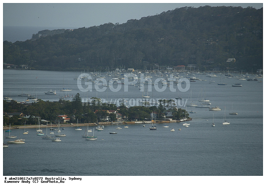 ���������, ���� �����������, ������, ����� �����, �����������, ������