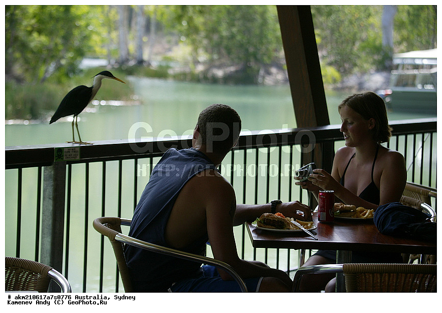 ���������, ���� �����������, ������, ����� �����, �����������, ������