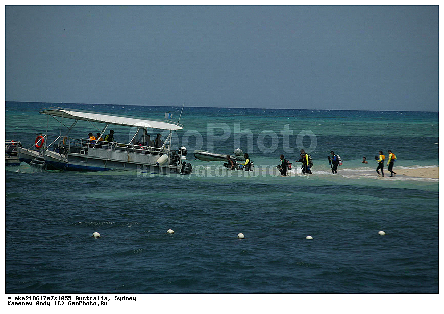 ���������, ���� �����������, ������, ����� �����, �����������, ������