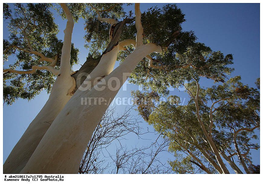 ���������, ����� �������, �������, �������