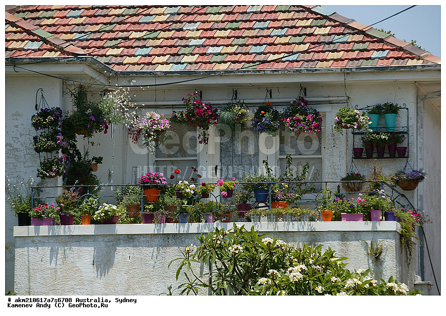 ���������, ���� �����������, ������, ����� �����, �����������, ������